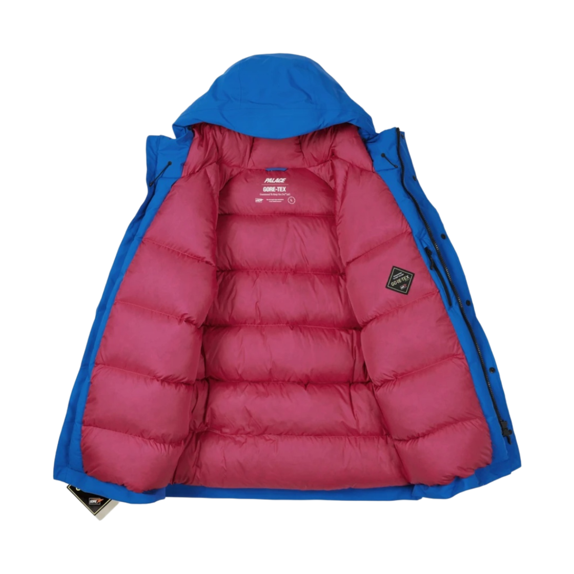 팔라스 고어텍스 아크틱 카고 파카 블루 - 21FW(Palace Gore-Tex Arctic Cargo Parka Blue - 21FW) - 3