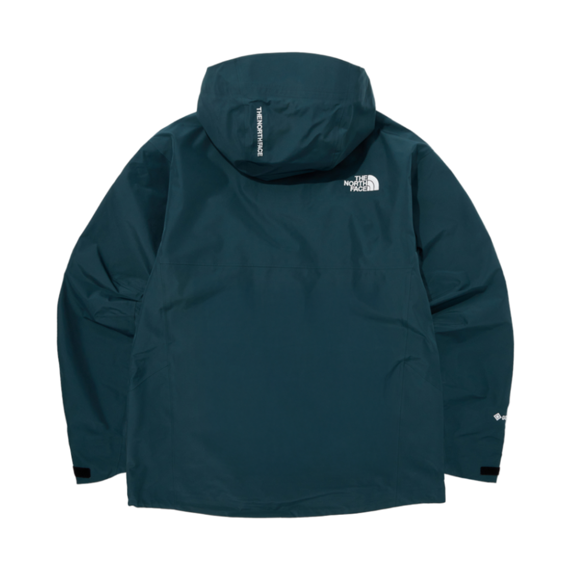 노스페이스 펠릭스 고어텍스 자켓 파인 | The North Face | KREAM