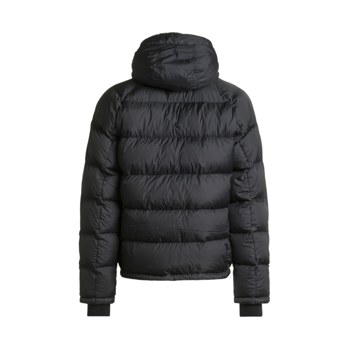 파라점퍼스 노턴 후드 다운 자켓 팬텀 - 22FW(Parajumpers Norton Down Jacket Phantom - 22FW) - 2