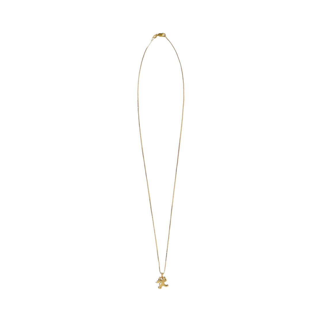 디스이즈네버댓 x 그레이트풀 데드 라이트닝 베어 네클리스 골드(Thisisneverthat x Grateful Dead Lightning Bear Necklace Gold) - 1