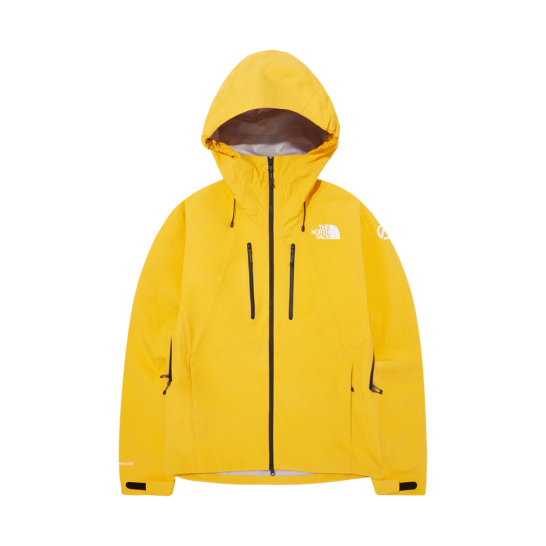 新作【THE NORTH FACE】KANTEGA GTX JACKET SE★送料・関税込★ KANTEGA GTX JACKET SE - 노스페이스