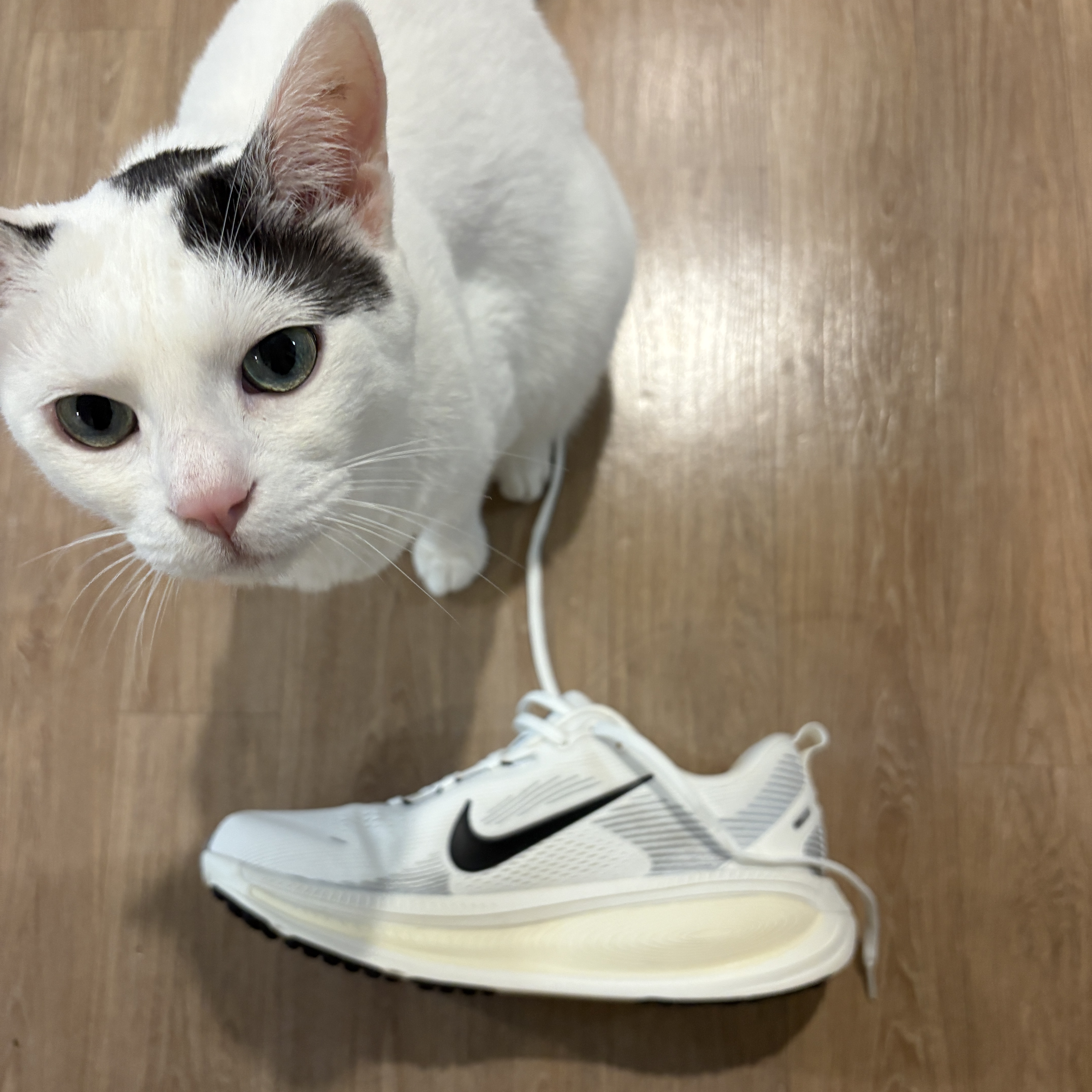 Nike Vomero 18 Summit White Coconut Milk 착용 스타일