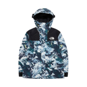 The North Face Novelty GTX Mountain Jacket Cloud