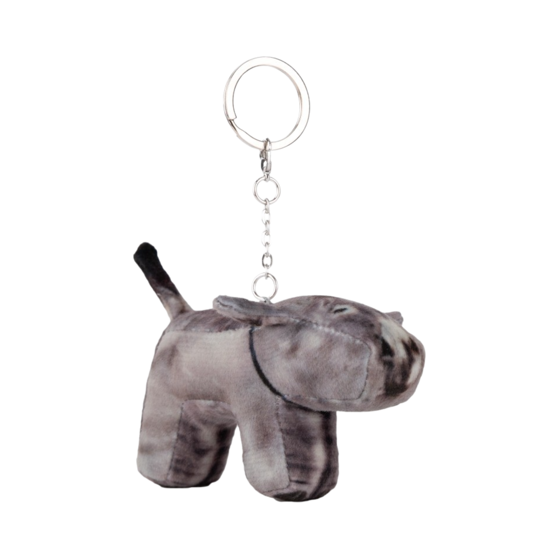 서울재즈페스티벌 2024 x 소프트썸네일 루트, 당나귀, 서재페