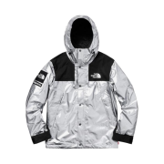 Supreme x The North Face Metallic Mountain Parka Silver - 18SS