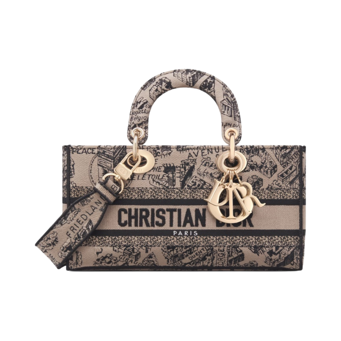 디올 미디움 레이디 D 조이 백 플랜 드 파리 자수 베이지 블랙(Dior Medium Lady D Joy Bag Plan De Paris Embroidery Beige Black) - 1