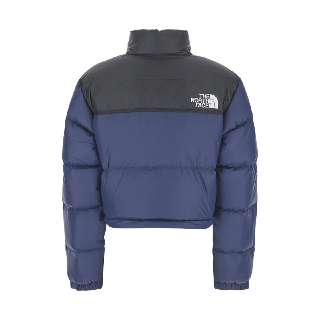 (W) 노스페이스 눕시 숏 다운 자켓 블루((W) The North Face Nuptse Short Down Jacket Blue) - 2