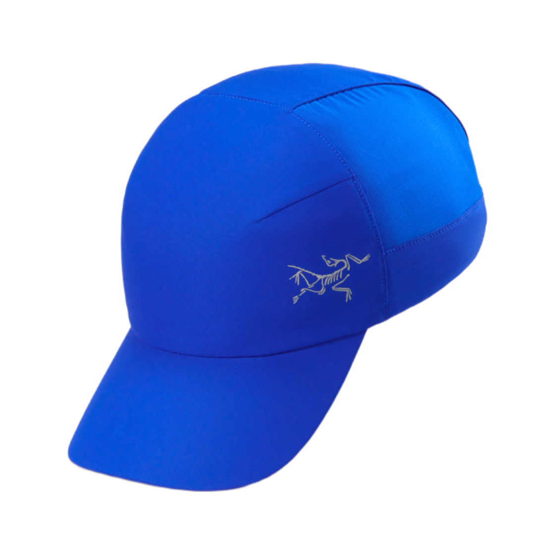 아크테릭스 칼버스 캡 바이탈리티(Arc'teryx Calvus Cap Vitality)