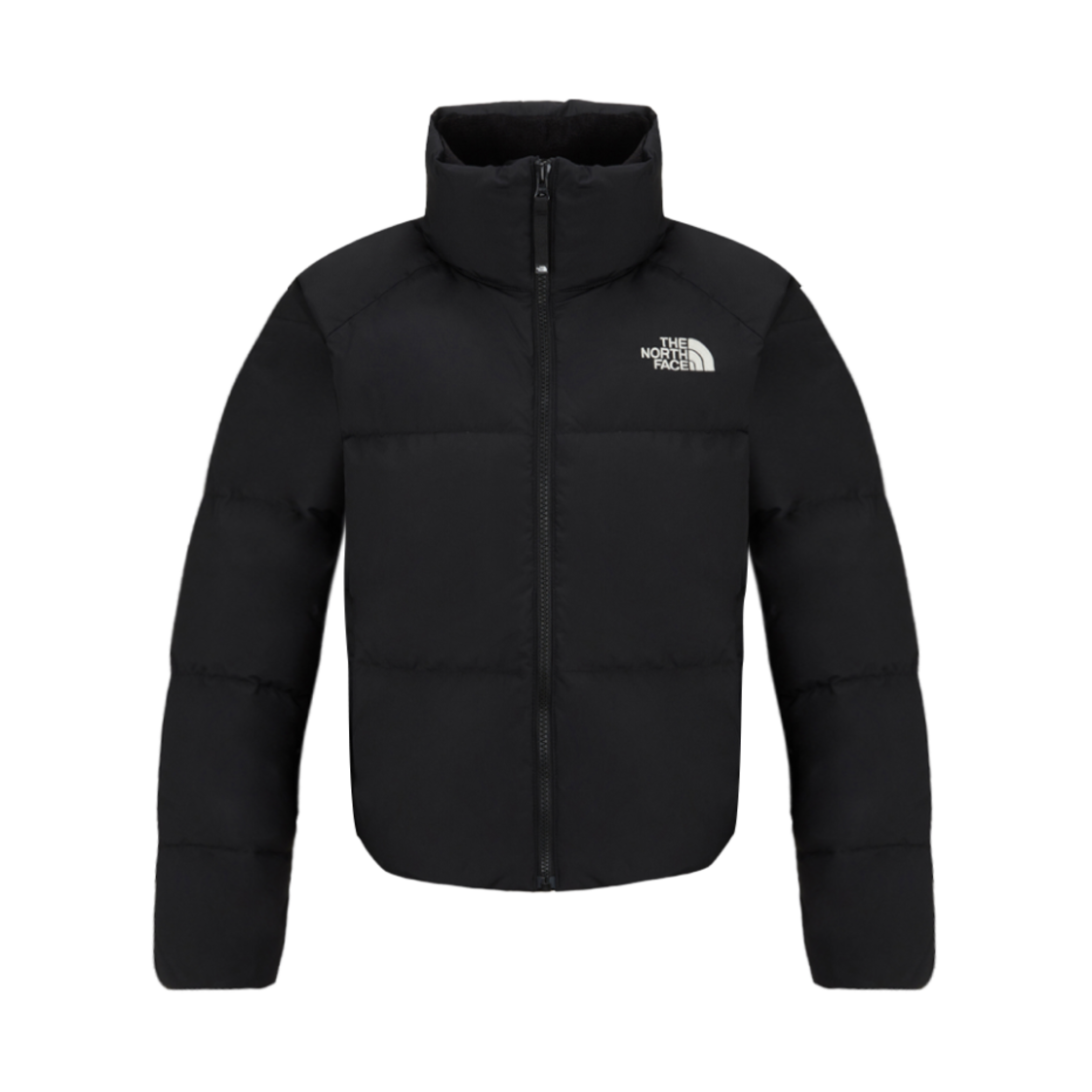 NJ1DQ91A (W) The North Face Lofty RDS Down Jacket Black - 24FW