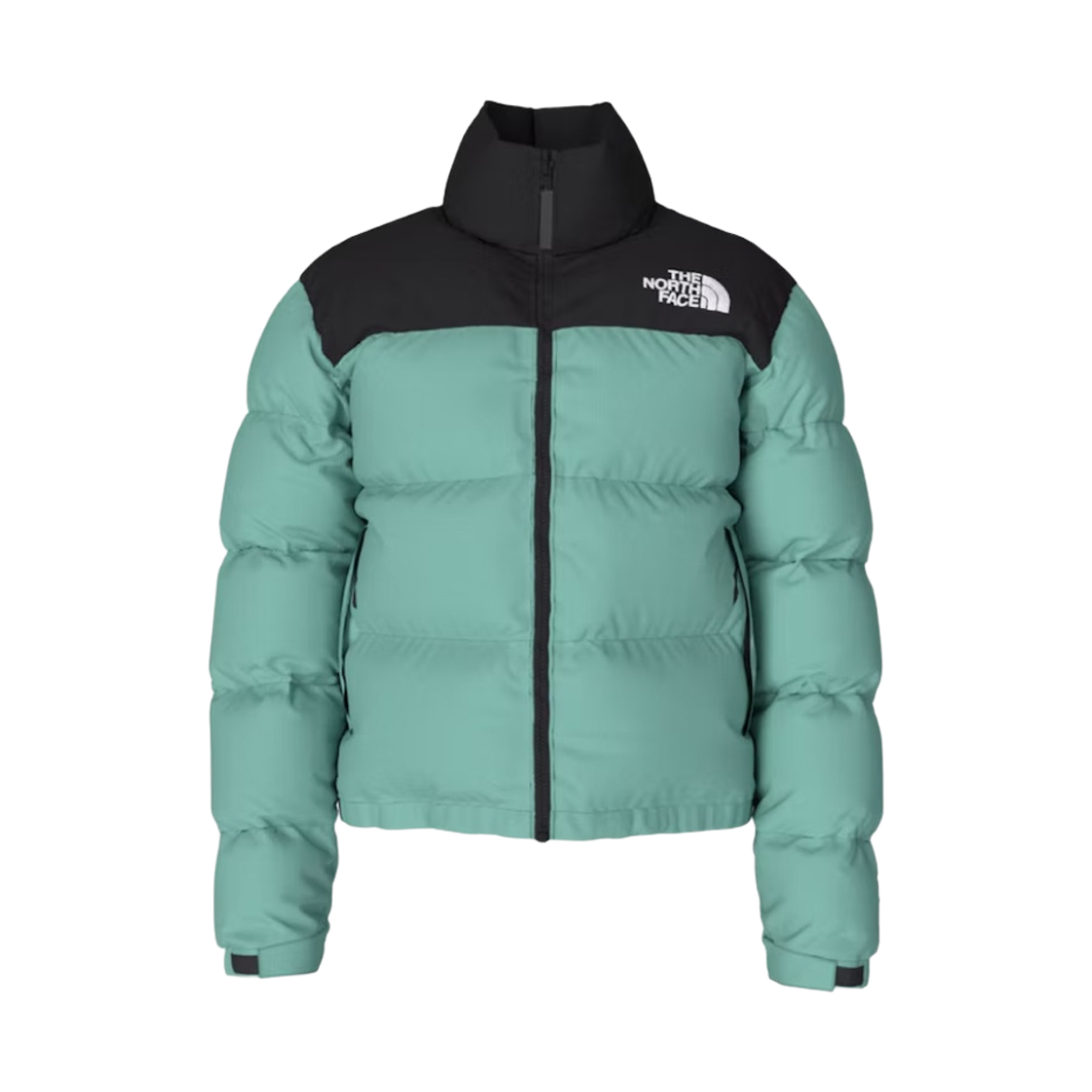 (W) 노스페이스 1996 레트로 눕시 자켓 와사비((W) The North Face 1996 Retro Nuptse Jacket Wasabi) - 1