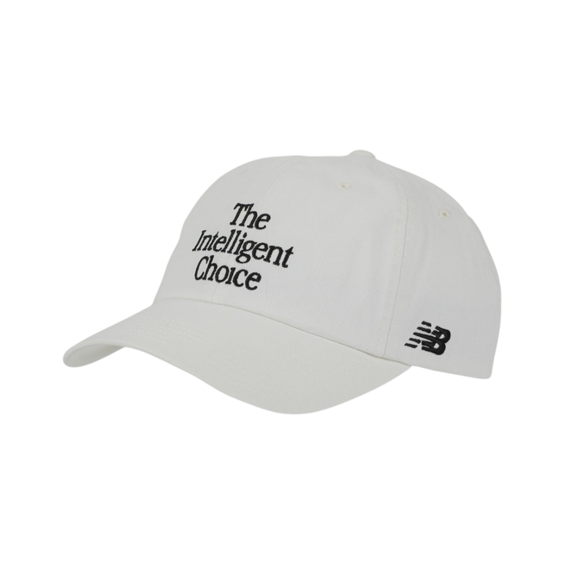 뉴발란스 6 패널 더 인텔리젠 초이스 햇 씨 솔트(New Balance 6 Panel The Intelligent Choice Hat Sea Salt)