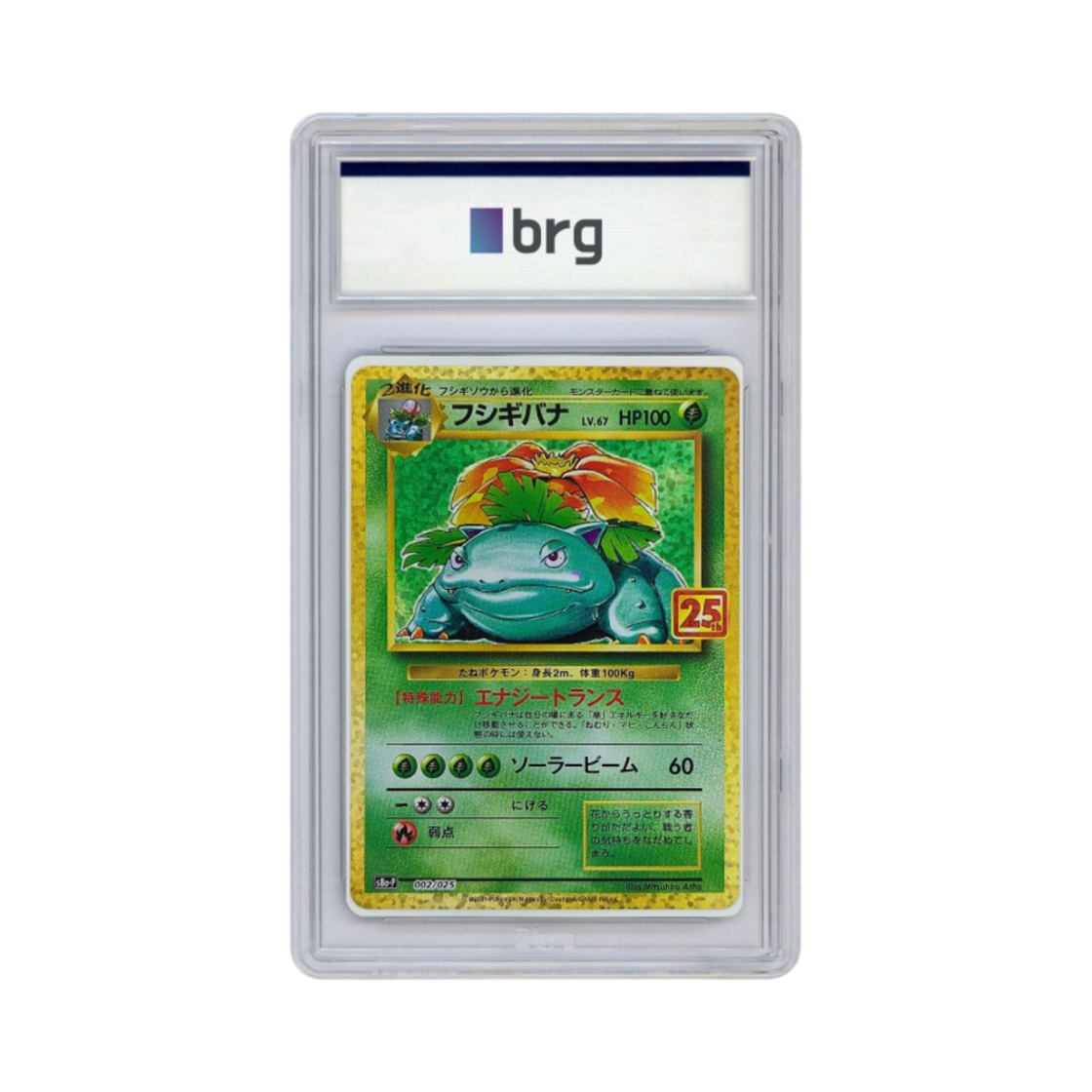 - Pokemon Card Game 25th Anniversary Promo Holo Venusaur 2021 (Japanese Ver.) - 대표 이미지 #1