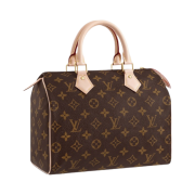 Louis Vuitton Speedy 25 Monogram