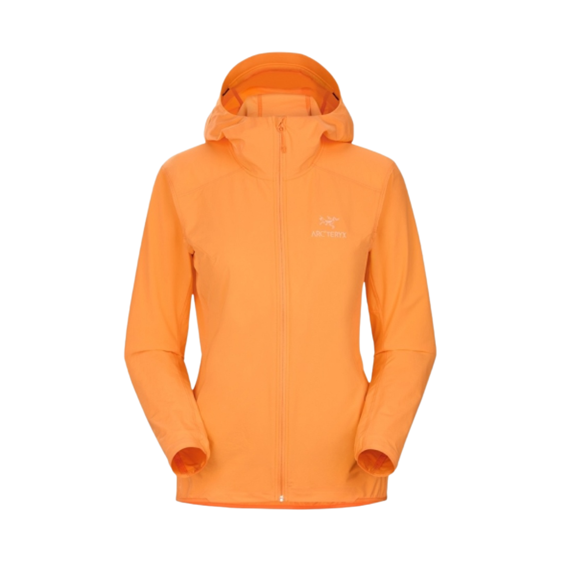 (W) 아크테릭스 감마 SL 후디 호라이즌((W) Arc'teryx Gamma SL Hoody Horizon) - 1
