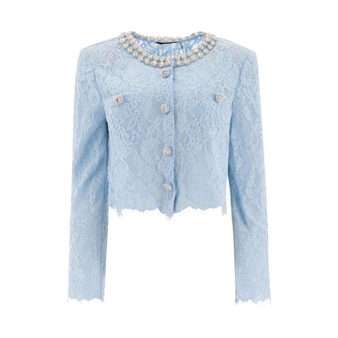 (W) 셀프 포트레이트 레이스 엠벨리시드 탑 블루((W) Self Portrait Lace Embellished Top Blue)