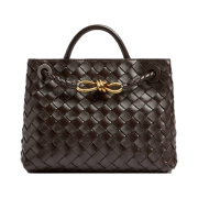 Bottega Veneta Small Andiamo Fondant