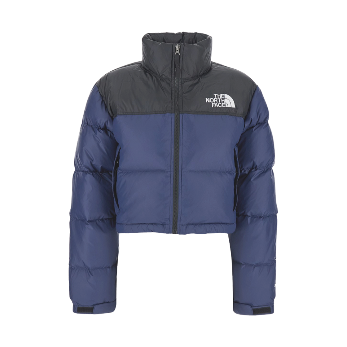 (W) 노스페이스 눕시 숏 다운 자켓 블루((W) The North Face Nuptse Short Down Jacket Blue) - 1