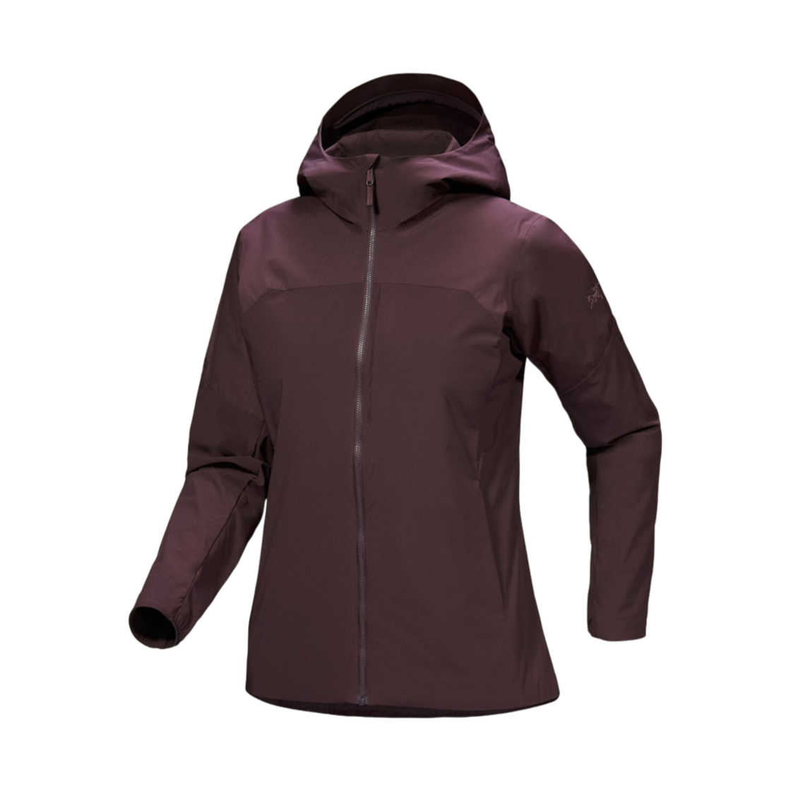 (W) 아크테릭스 프로톤 하이브리드 후디 판타즘((W) Arc'teryx Proton Hybrid Hoody Phantasm) - 1