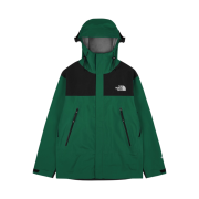 The North Face Gore-Tex Mountain 3L Jacket Classic Green