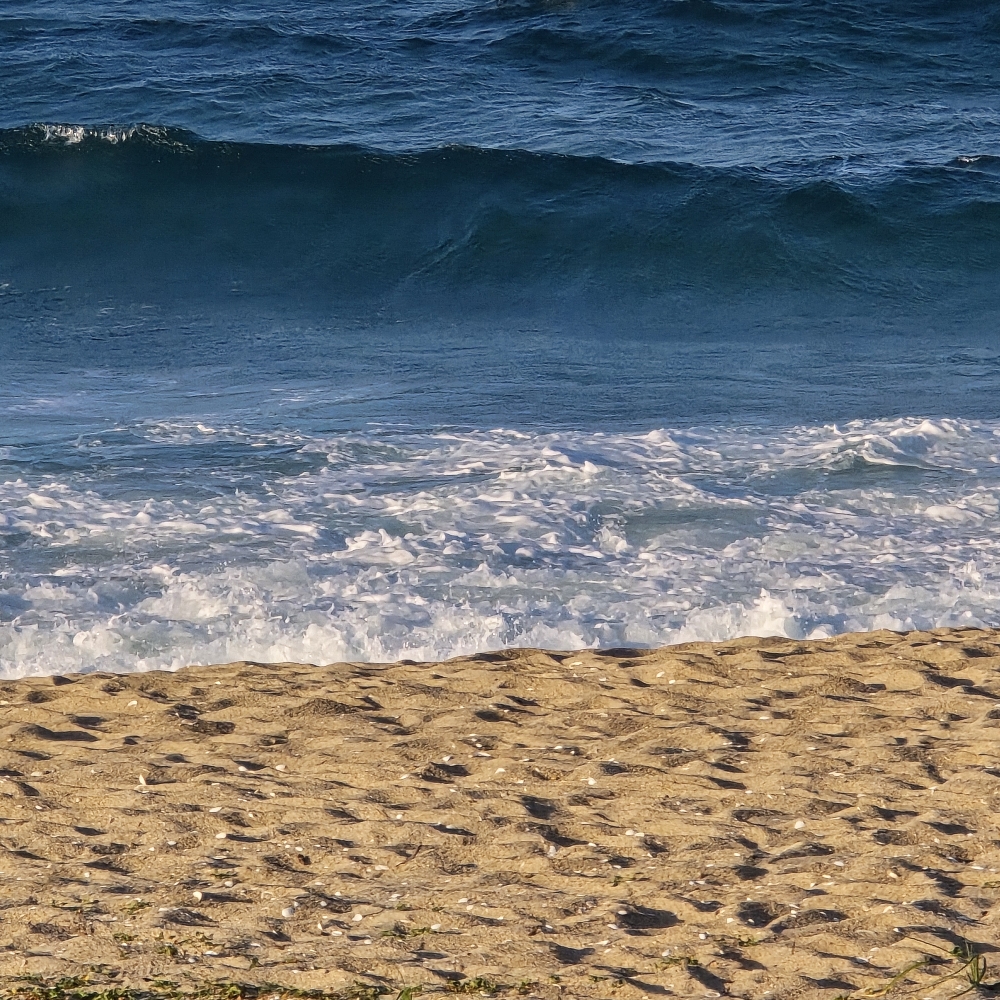 관심 유저 프로필 이미지