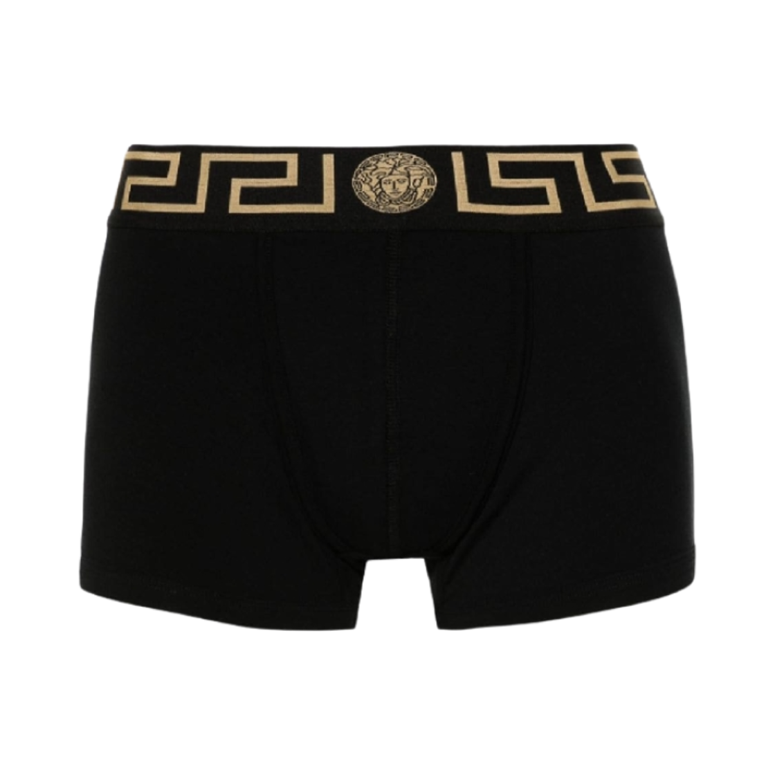 AU10026-1A10011-A80G Versace Greca Border Trunks Black