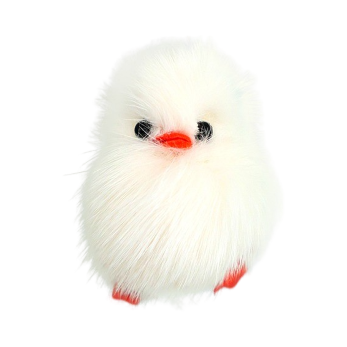 코지모지 뱁새 화이트