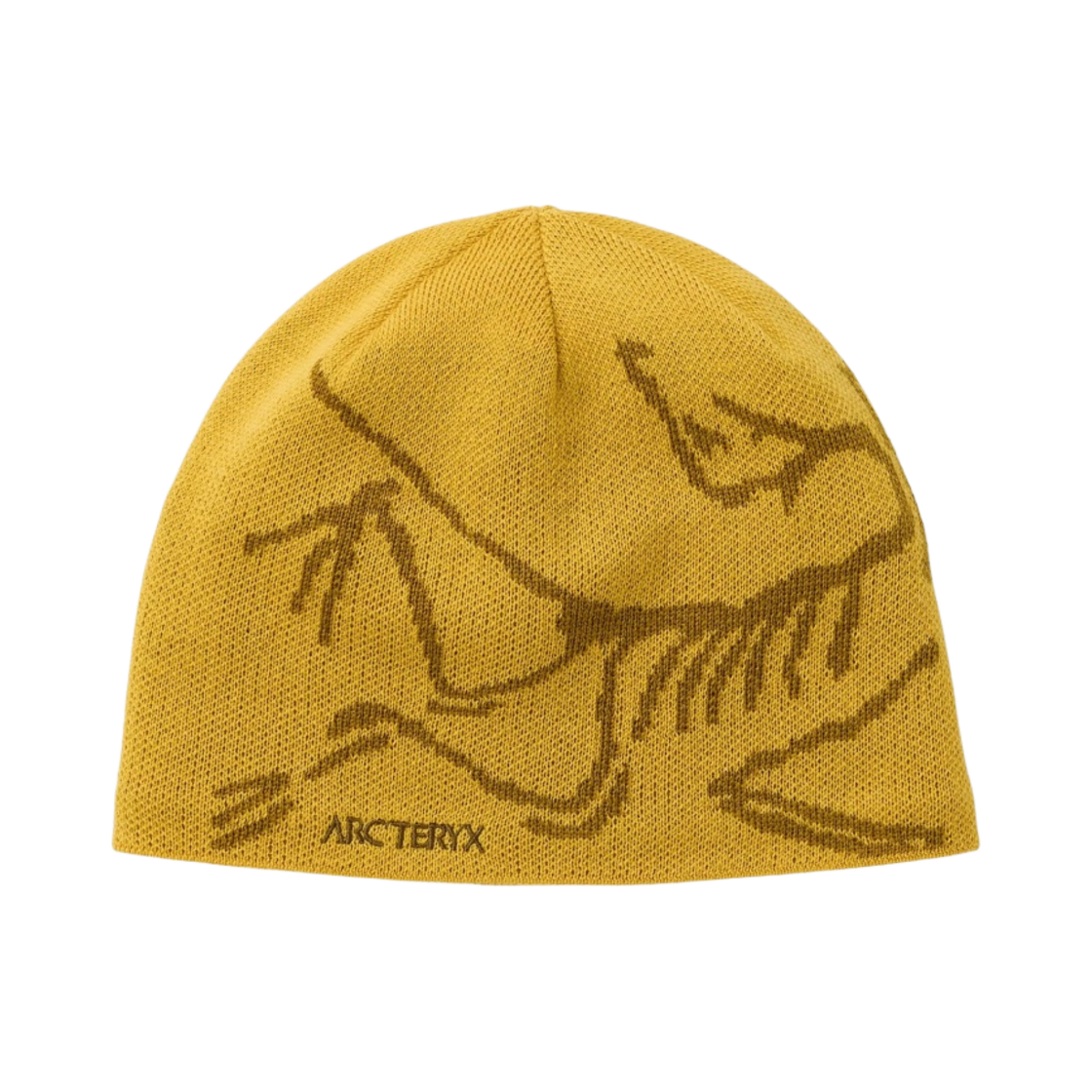 29803 Arc'teryx Bird Head Toque Oracle