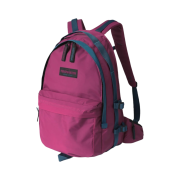 Thisisneverthat Field Daypack Plum