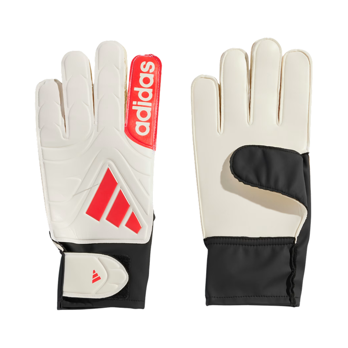 아디다스 코파 클럽 골키퍼 글러브 화이트 블랙(Adidas Copa Club Goalkeeper Gloves White Black)