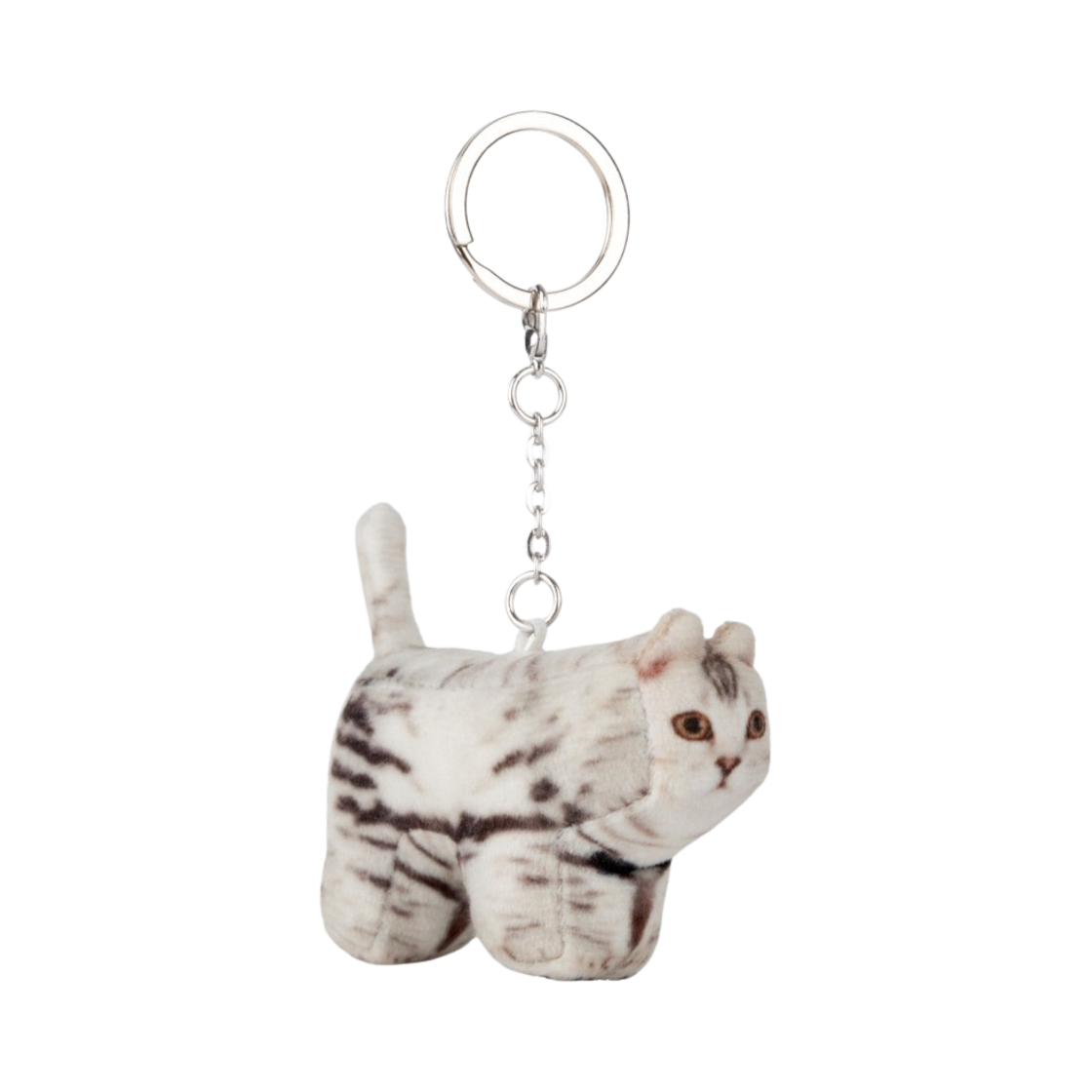 서울재즈페스티벌 2024 x 소프트썸네일 소야, 도메스틱 숏헤어