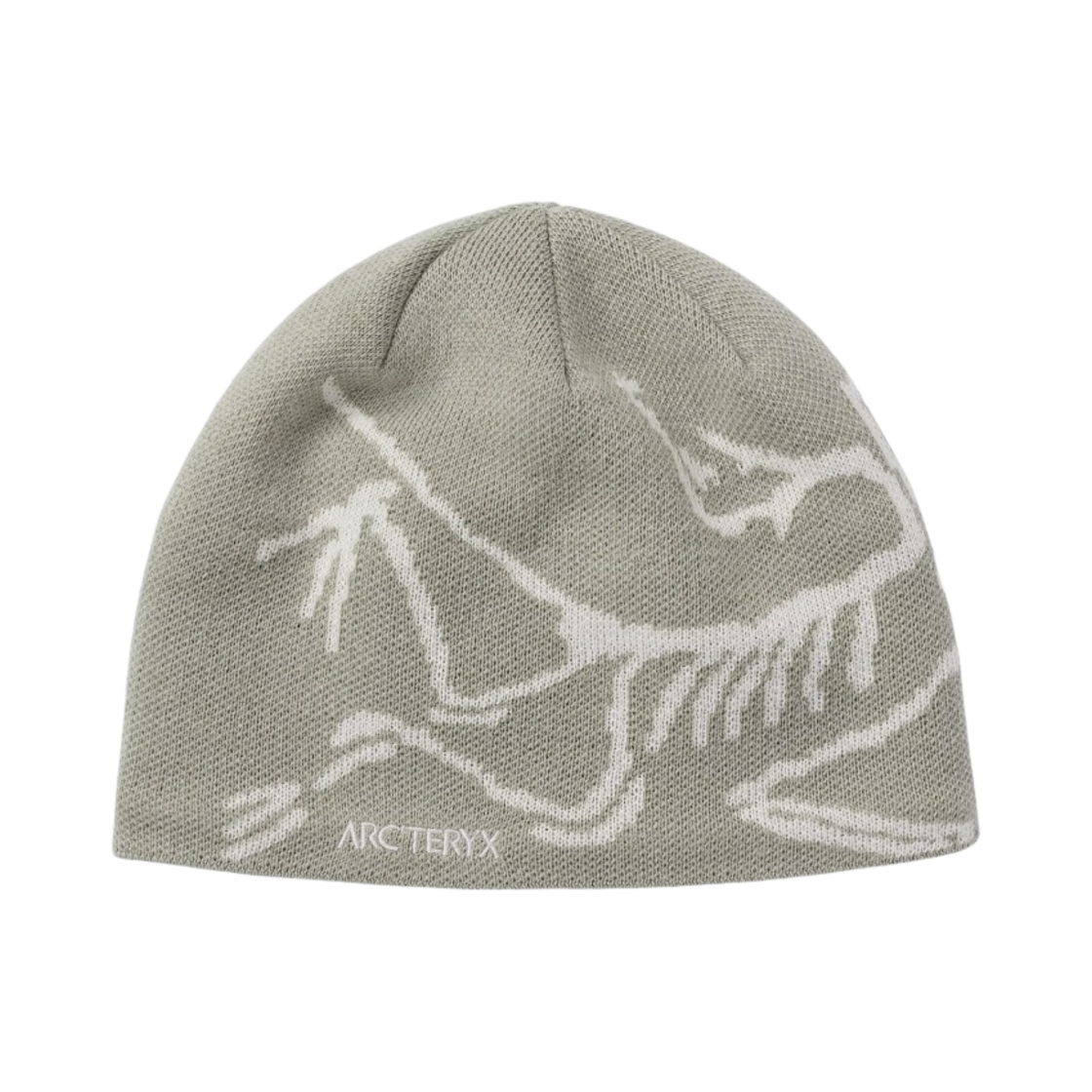 29803/6756 Arc'teryx Bird Head Toque Habitat