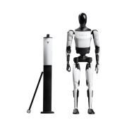 Tesla Bot Figure