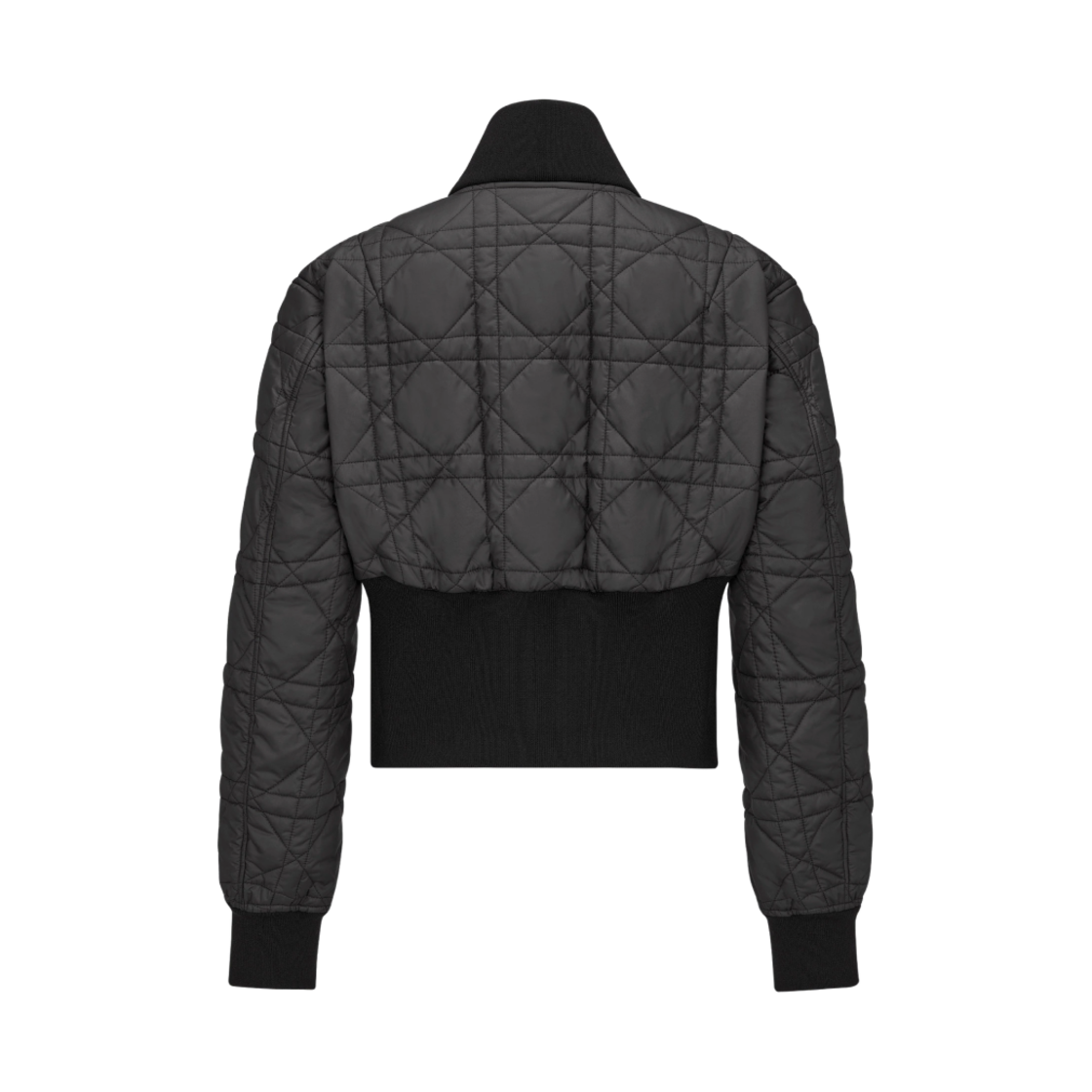 (W) 디올 매크로까나쥬 크롭 봄버 자켓 블랙((W) Dior Macrocannage Cropped Bomber Jacket Black) - 2
