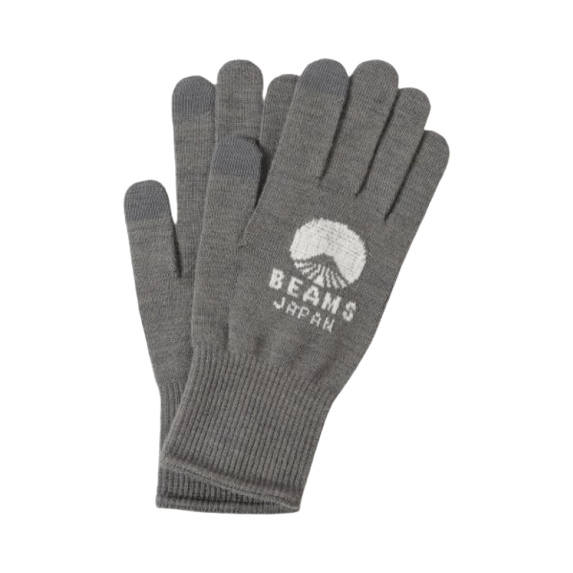 56-46-0045-246 Beams x Tet. Logo Gloves Vol. 2 Grey