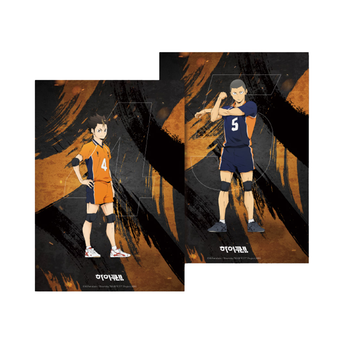 하이큐 HINO 전국필승 PP포스터 2종 세트 니시노야&타나카(HAIKYU HINO National Victory PP Poster 2 Type Set Nishinoya & Tanaka)