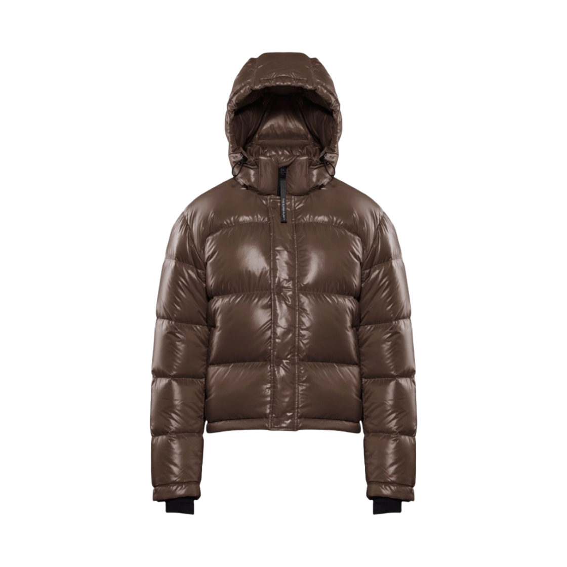 84573 (W) Aritzia The Super Puff Shorty Cropped Goose Down Puffer Jacket Rich Mocha Brown