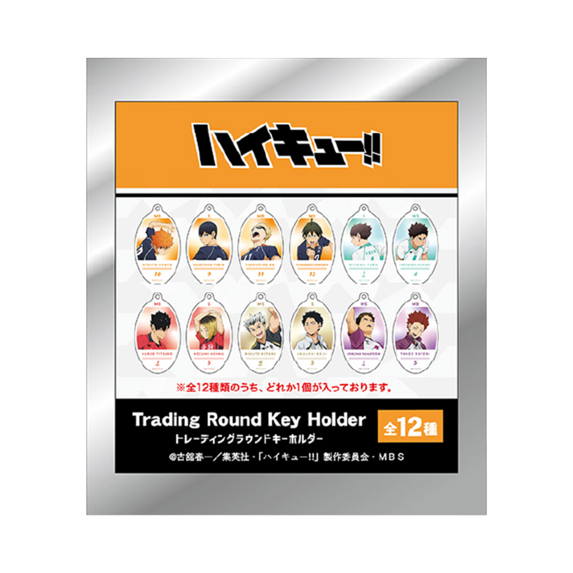 하이큐 트레이딩 원형 키링(HAIKYU Trading Round Keyring)
