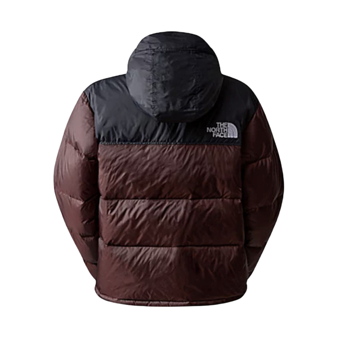 (W) 노스페이스 1996 레트로 눕시 자켓 콜 브라운((W) The North Face 1996 Retro Nuptse Jacket Coal Brown) - 2