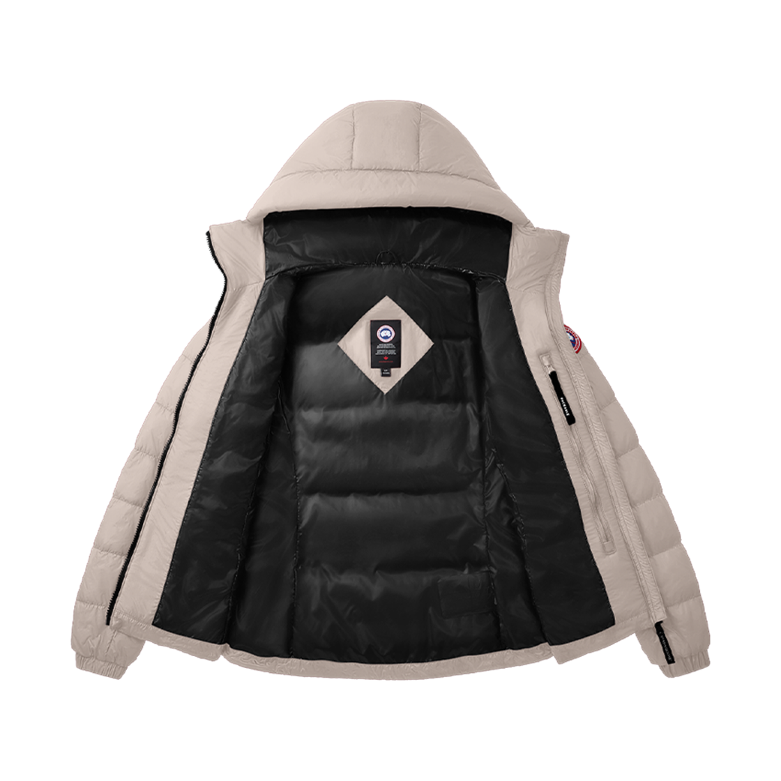 (W) 캐나다 구스 애보트 후디 루센트 로즈((W) Canada Goose Abbott Hoody Lucent Rose) - 2