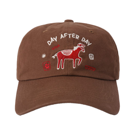 324538 APOA Day After Day Ball Cap Brown