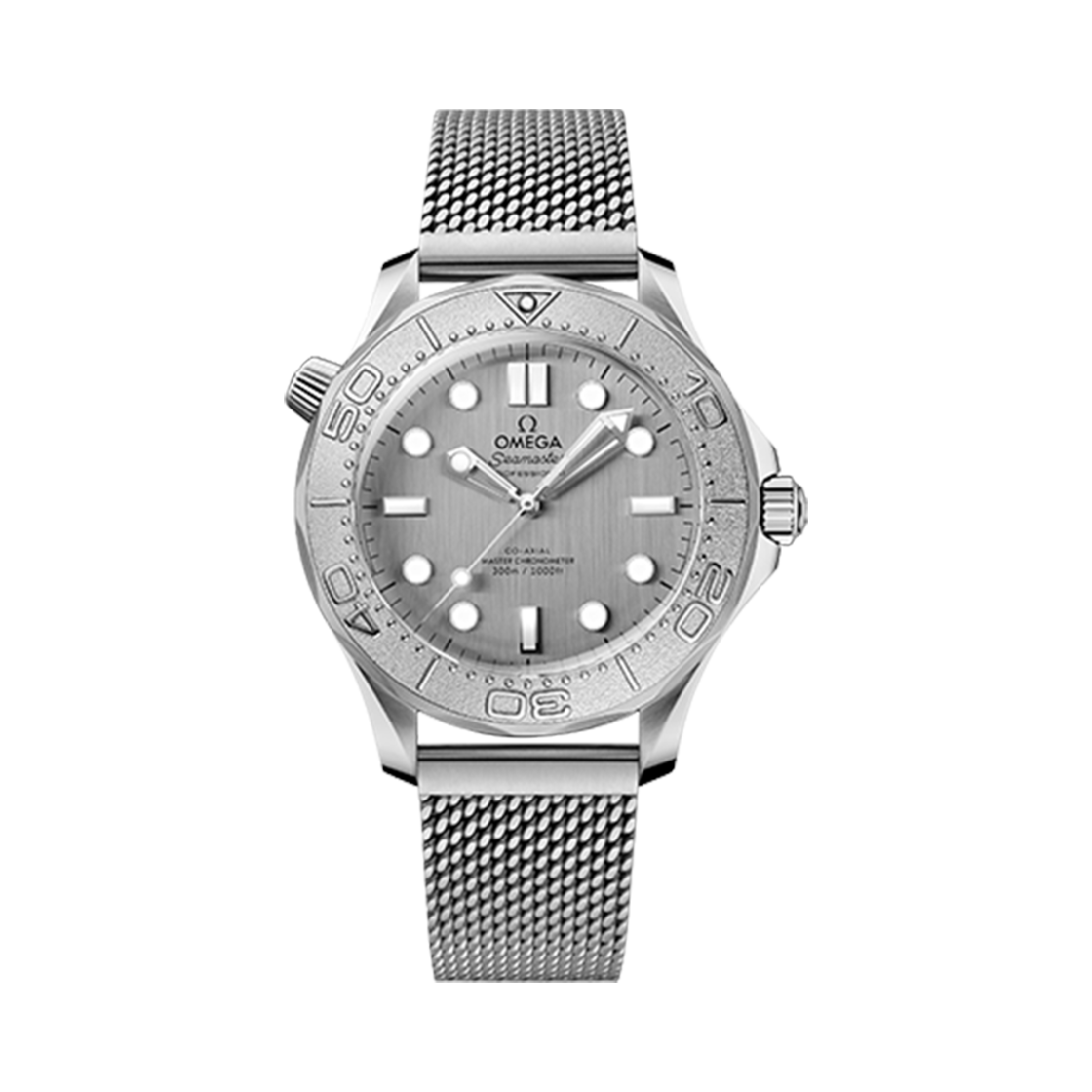 21030422006002 Omega Seamaster Diver 300M Co Axial Master Chronometer Steel Silver