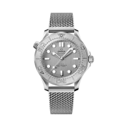 Omega Seamaster Diver 300M Co Axial Master Chronometer Steel Silver