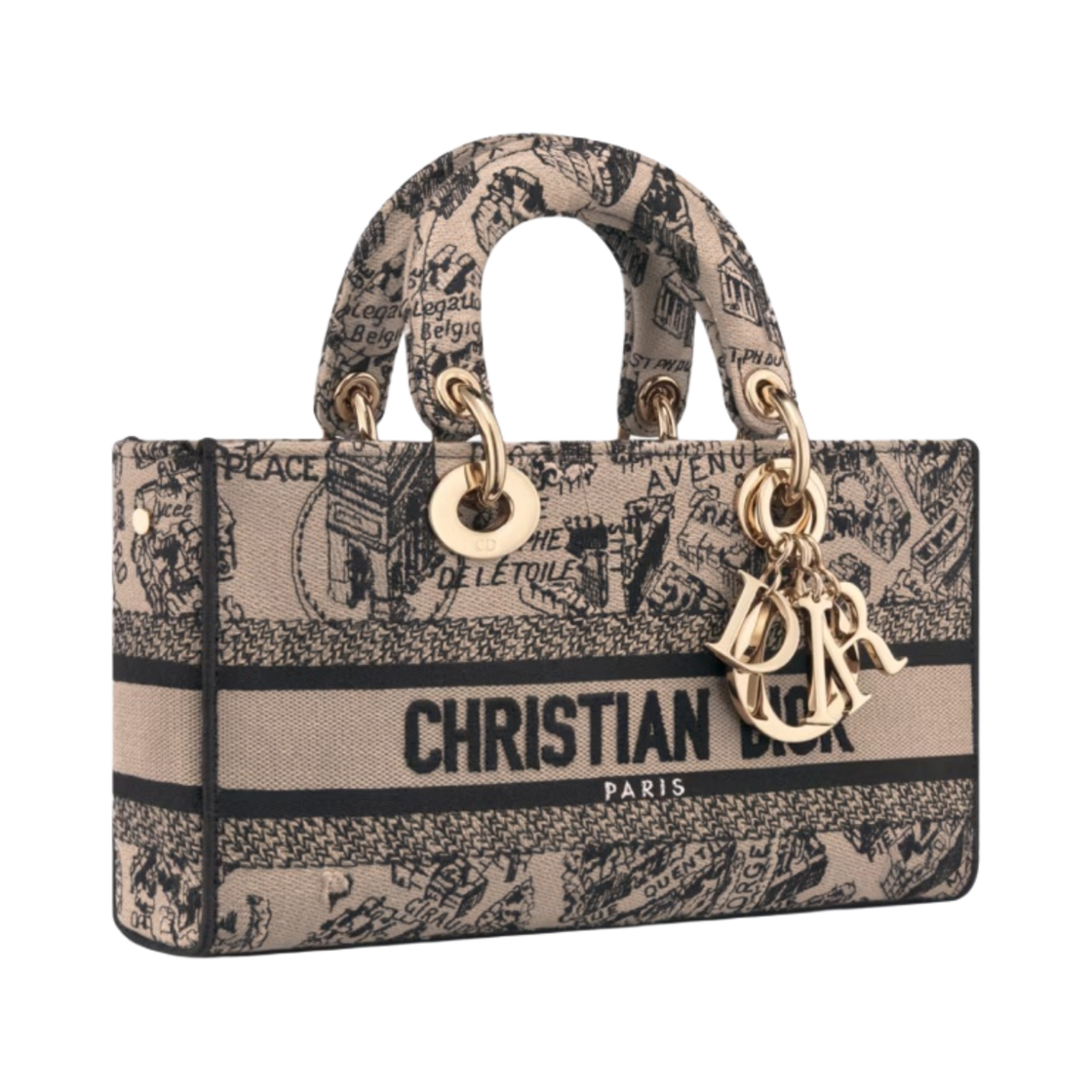 디올 미디움 레이디 D 조이 백 플랜 드 파리 자수 베이지 블랙(Dior Medium Lady D Joy Bag Plan De Paris Embroidery Beige Black) - 2