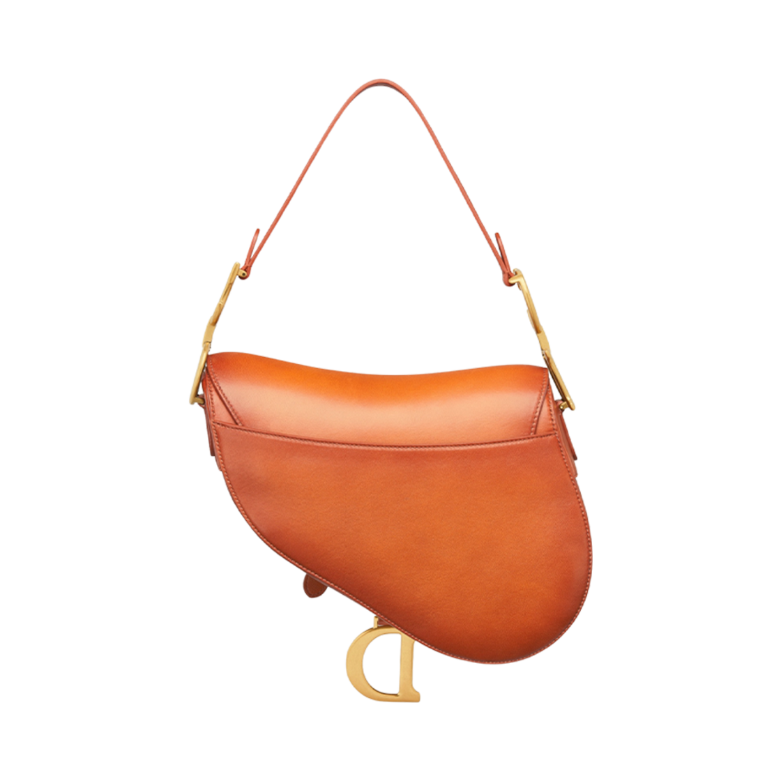 디올 새들 백 스트랩 A 파티나 피니쉬 브라운(Dior Saddle Bag with Strap with A Patina Finish Brown) - 2