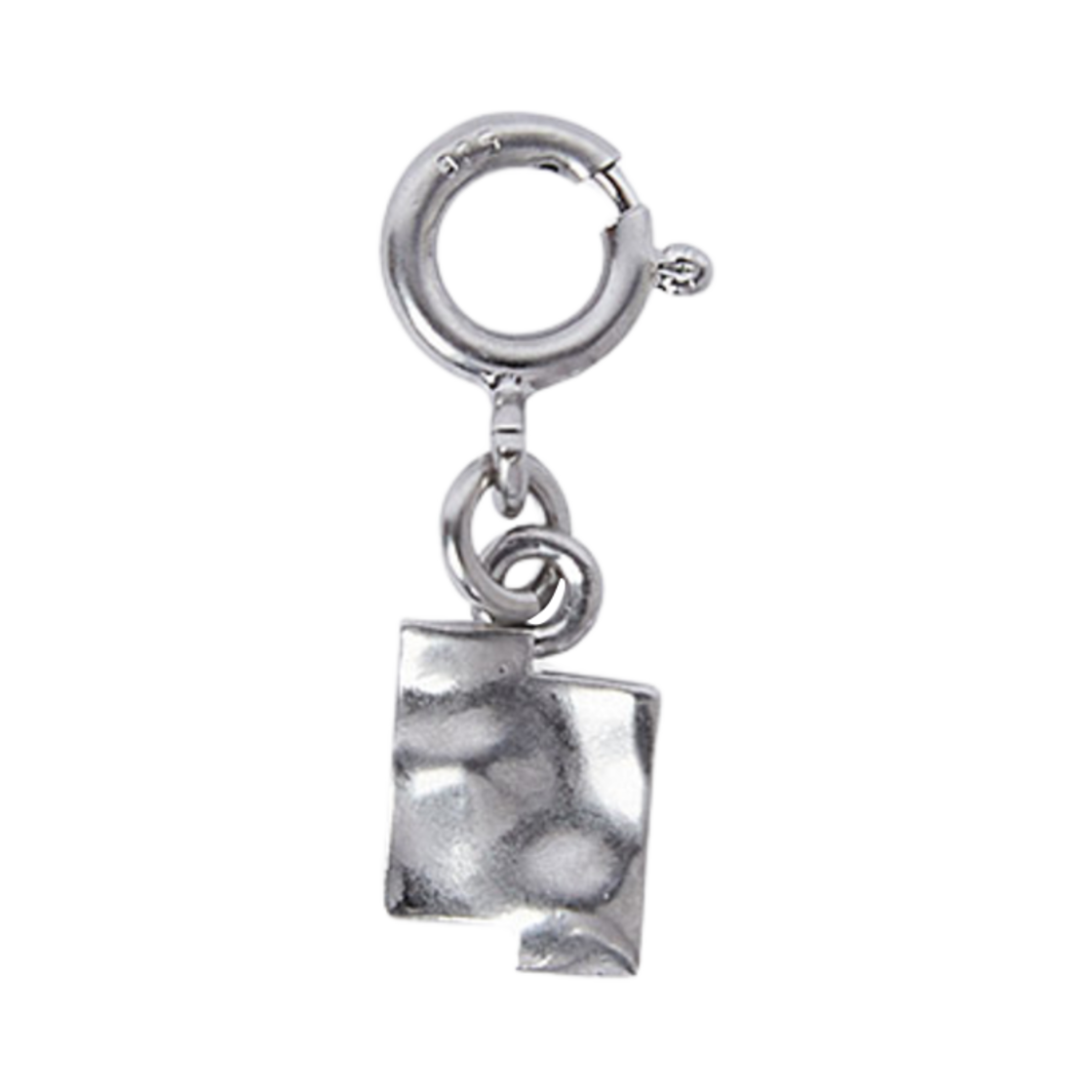 아더 에러 TRS 참 실버(Ader Error TRS Charm Silver) - 1