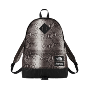 Supreme x The North Face Snakeskin Lightweight Day Pack Black - 18SS