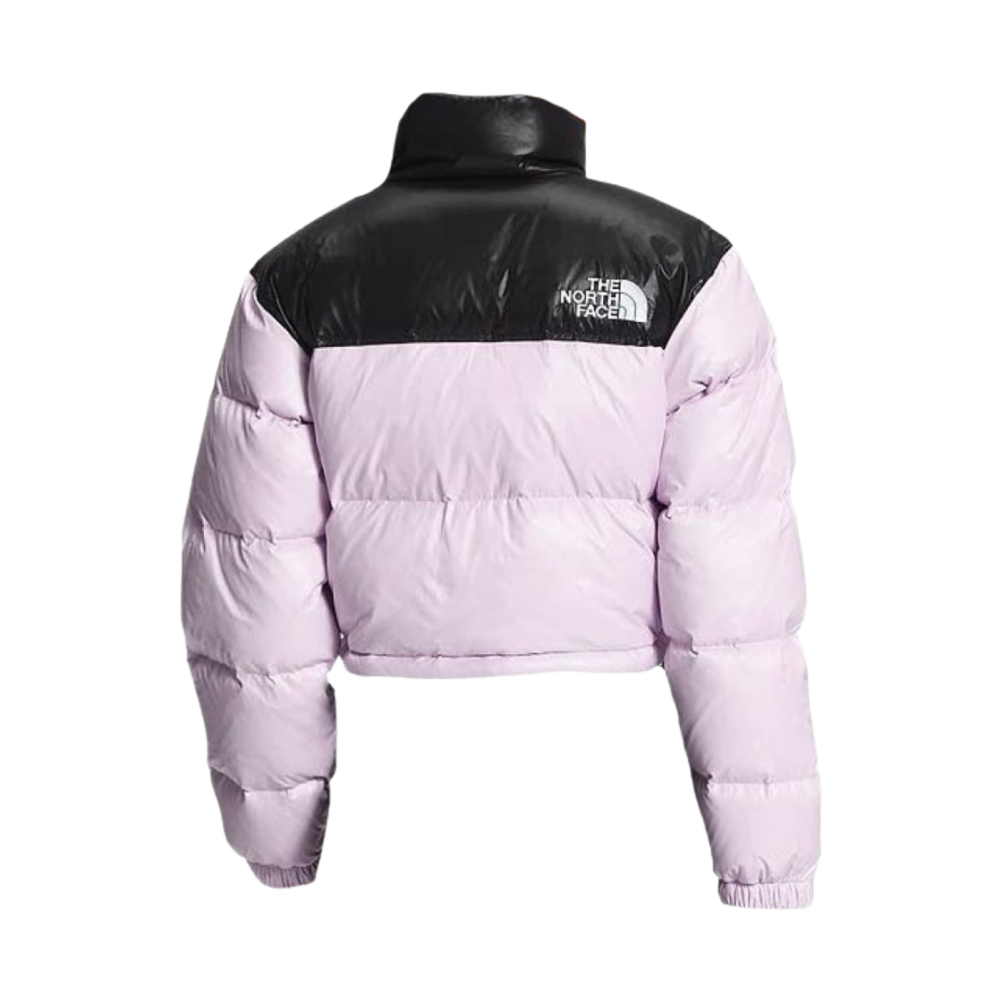 (W) 노스페이스 눕시 숏 자켓 라벤더 포그((W) The North Face Nuptse Short Jacket Lavender Fog) - 2