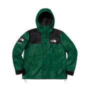 Supreme x The North Face Leather Mountain Parka Dark Green - 18FW