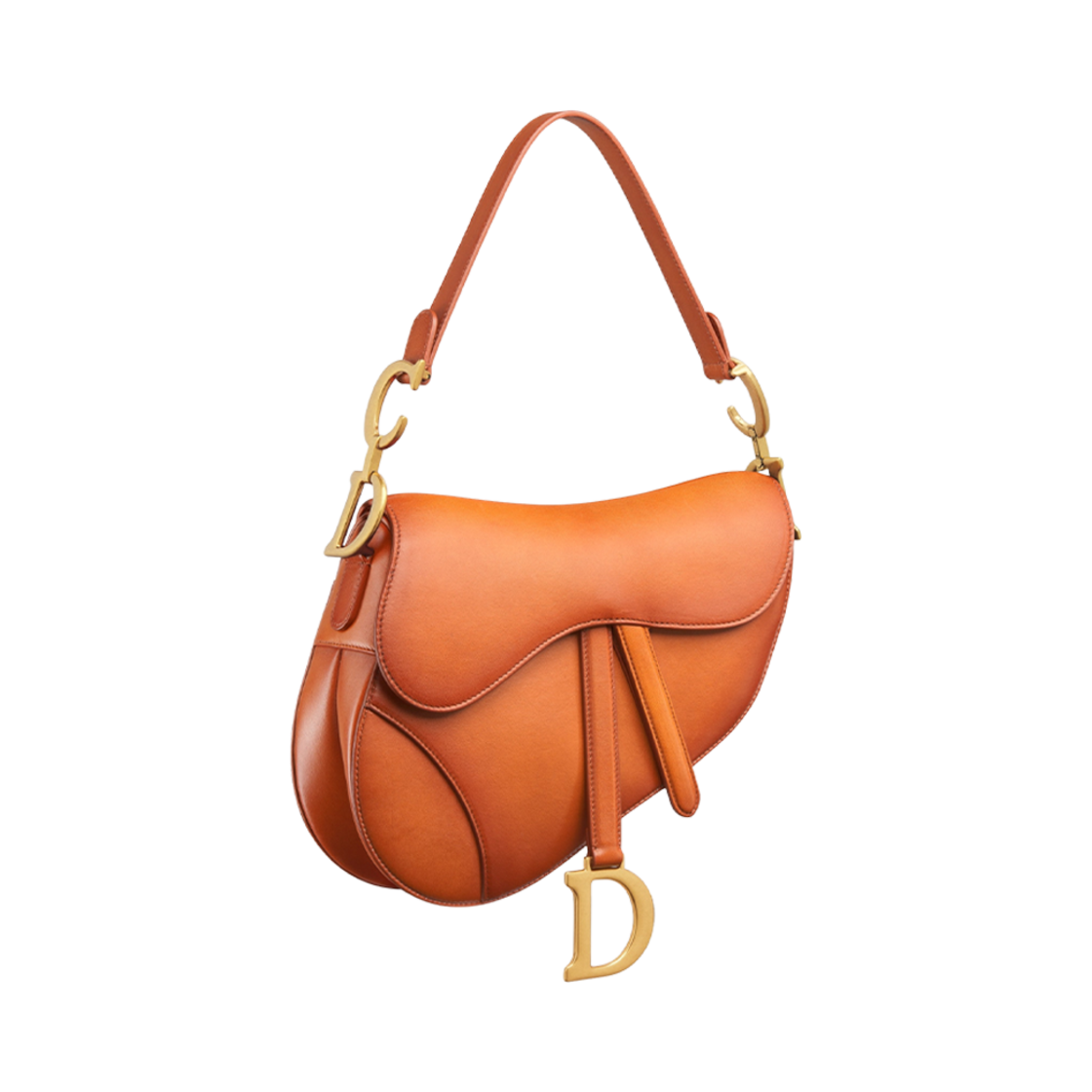 디올 새들 백 스트랩 A 파티나 피니쉬 브라운(Dior Saddle Bag with Strap with A Patina Finish Brown) - 3