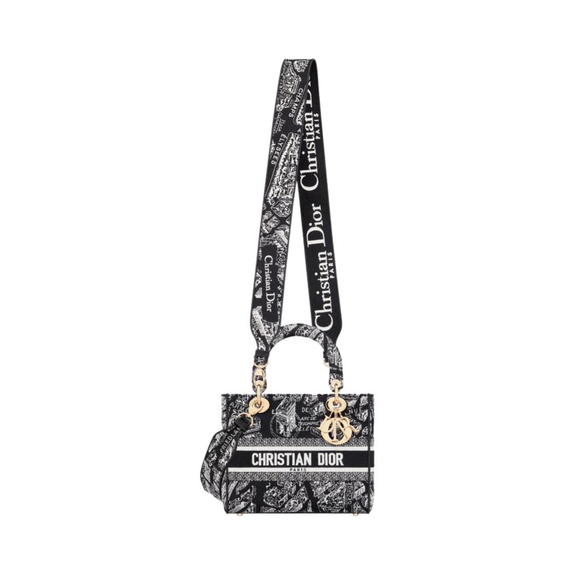 디올 미디움 D 라이트 레이디백 플랜 드 파리 자수 블랙 화이트(Dior Medium Lady D-Lite Bag Plan de Paris Embroidery Black White) - 5